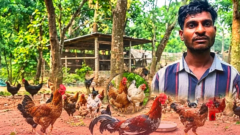 बस्तर के युवा सागर कश्यप का देसी मुर्गी पालन का अनोखा मॉडल, कम मेहनत में मिल रहा है बंपर मुनाफा