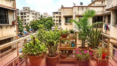 घर में गार्डन बनाने का सपना होगा सच, इन पौधों के साथ छोटे फ्लैट को दें शानदार लुक