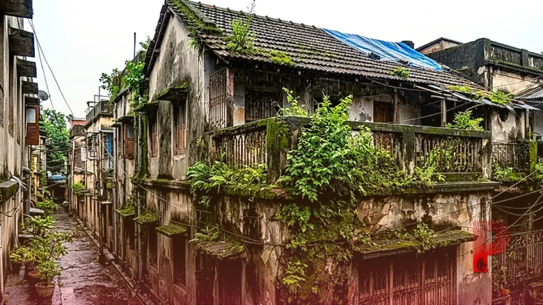 बारिश में दीवारों और छत पर जमी काई और उगे पौधों से हैं परेशान, इन घरेलू नुस्खों से घर को बनाएं चकाचक