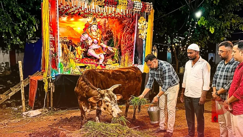 छत्तीसगढ़ में गणेशोत्सव का अनोखा संदेश, प्रसाद के बजाय गौ सेवा को मिला बढ़ावा