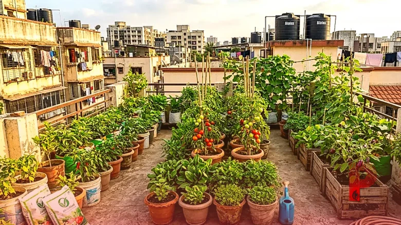 रूफटॉप गार्डनिंग टिप्स: घर की छत पर उगाएं ताजी सब्जियां और फल, जानें सफल खेती का सही तरीका