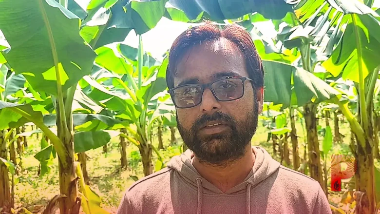 लखीमपुर खीरी के किसान श्याम मिश्रा ने बदली खेती की दिशा, गन्ने को छोड़कर केले की खेती से कमा रहे लाखों