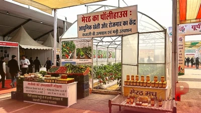 यूपी ट्रेड शो में मेरठ के पॉलीहाउस की धूम, सब्जी और शहद की खेती से कमा रहे हैं लाखों