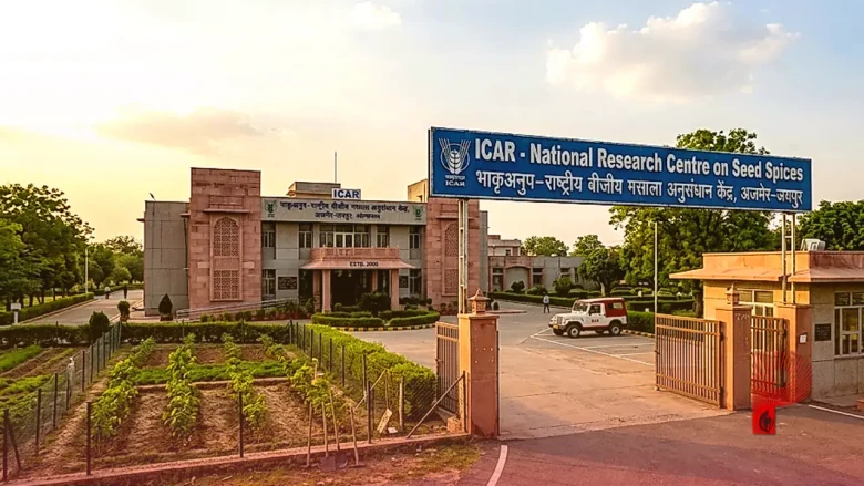 ICAR में लहराया परचम: जयपुर की सुनीता टोडावता ने 19 घंटे की पढ़ाई के दम पर हासिल की AIR-1