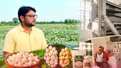 मखाना खेती को बनाएं मुनाफे का बिजनेस, वैज्ञानिक ने साझा किए 25% कमाई बढ़ाने वाले आधुनिक मंत्र