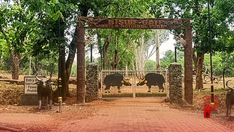 बेतला नेशनल पार्क में भूलकर भी न करें ये गलती, वरना ऑन-स्पॉट देना होगा जुर्माना, जानें नए नियम