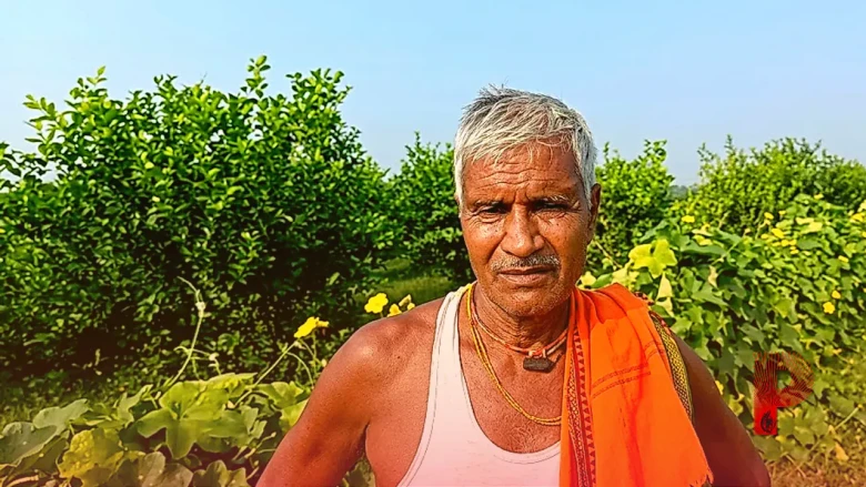 सीतामढ़ी के अरुण कुमार ने नींबू की खेती से बदली अपनी किस्मत, 4 कट्ठा से शुरू कर 1 बीघे तक फैलाया दायरा, सालाना कर रहे 2.5 लाख रुपये की शुद्ध बचत