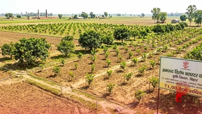 भोजपुर के किसानों के लिए बड़ी सौगात, 25 एकड़ में तैयार होगा अमरूद का विशेष क्लस्टर, मिलेगी ₹1 लाख की सब्सिडी
