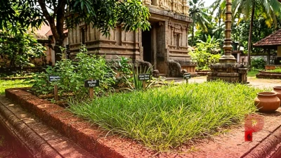 दूर्वा घास है कुदरती औषधियों का खजाना, पेट से लेकर त्वचा की समस्याओं में है बेहद असरदार