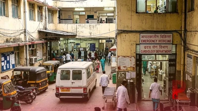 हार्ट अटैक, कार्डिएक अरेस्ट और स्ट्रोक में क्या है अंतर? जानिए शरीर के सबसे संवेदनशील अंगों पर इनके खतरे