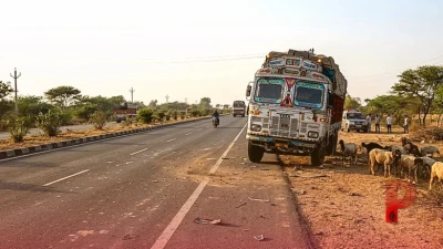 गुजरात में भीषण सड़क हादसा: तेज रफ्तार ट्रक ने भेड़-बकरियों के झुंड को कुचला, 25 बेजुबानों की मौत