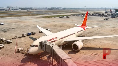 35000 फीट की ऊंचाई पर मचा हड़कंप, बोइंग 787 विमान में खटमलों ने यात्रियों का जीना किया मुहाल