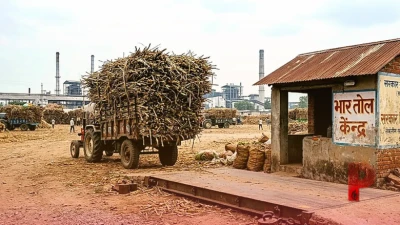 गन्ने के दाम बढ़ सकते हैं! सरकार ने बनाई खास कमेटी, चीनी के MSP और तौल की गड़बड़ियों पर लेगी बड़ा फैसला