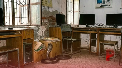 हरियाणा के सरकारी स्कूल में सुबह-सुबह मचा हड़कंप, कंप्यूटर रूम में मिला 6 फीट लंबा कोबरा