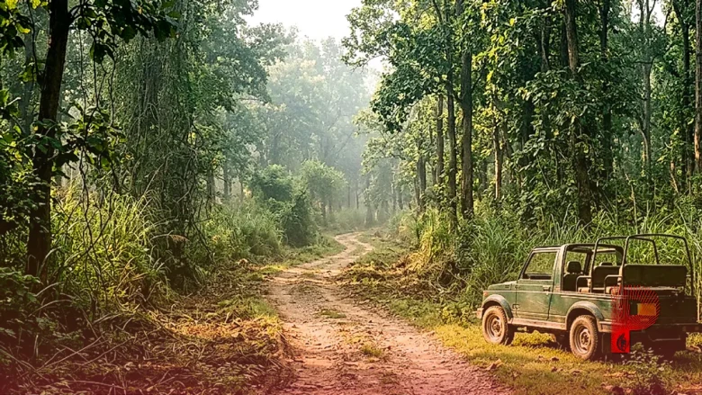 वाल्मीकि टाइगर रिजर्व में पर्यटकों के लिए खुशखबरी, मदनपुर रेंज में 15 किलोमीटर लंबा सफारी रूट तैयार