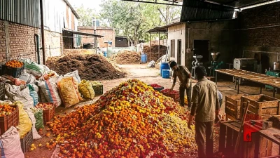 फरीदाबाद: मंदिरों से निकले फूलों से अब बन रहे अगरबत्ती और खाद, जर्मनी से पहुंचे विशेषज्ञ