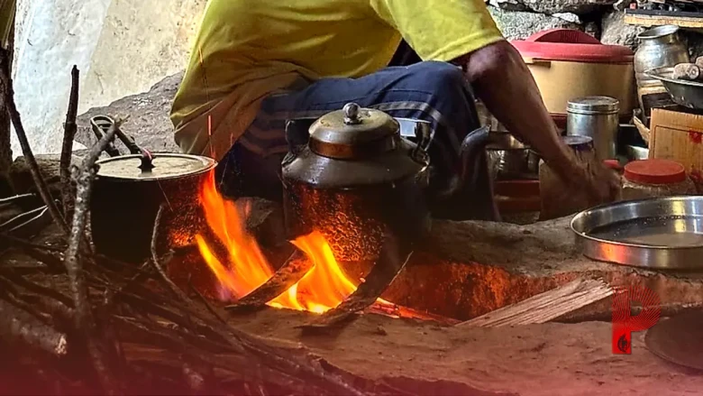 बागेश्वर के पहाड़ों में चाय का अनोखा रिश्ता, मेहमाननवाजी और संस्कृति का बन गई अहम हिस्सा