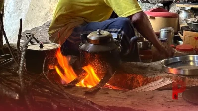 बागेश्वर के पहाड़ों में चाय का अनोखा रिश्ता, मेहमाननवाजी और संस्कृति का बन गई अहम हिस्सा