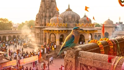 दशहरा 2026: विजयादशमी के दिन नीलकंठ के दर्शन से बदल सकती है किस्मत, जानिए क्या है इसका पौराणिक महत्व