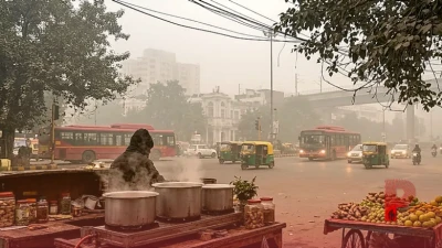 सुबह उठते ही गले में खराश और सर्दी का है संकेत, प्रदूषण से बचने के लिए अपनाएं ये रामबाण उपाय