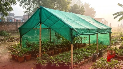 सर्दियों में भी पौधों के लिए क्यों जरूरी है ग्रीन नेट, जानिए क्या है इसके पीछे की वजह