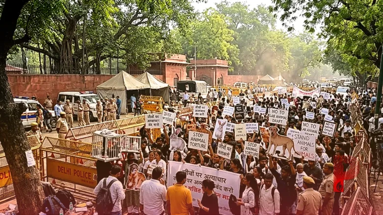 जानवरों पर शोध के नए ड्राफ्ट पर मचा बवाल, गौरी मौलेखी ने दी चेतावनी- भारत बन जाएगा रिसर्च का डस्टबिन